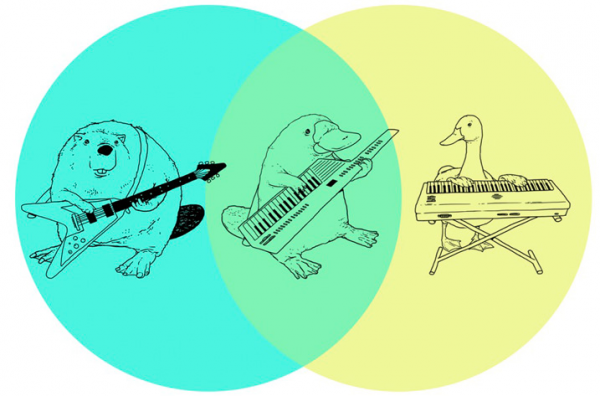 What do you get if you cross a guitar-playing beaver with a keyboard-playing goose?